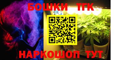 индика Партизанск