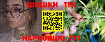 индика Партизанск