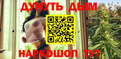 индика Партизанск