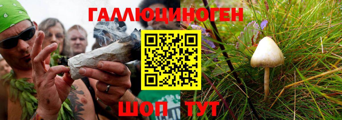 Псилоцибиновые грибы прущие грибы  Вход с VPN  Партизанск 