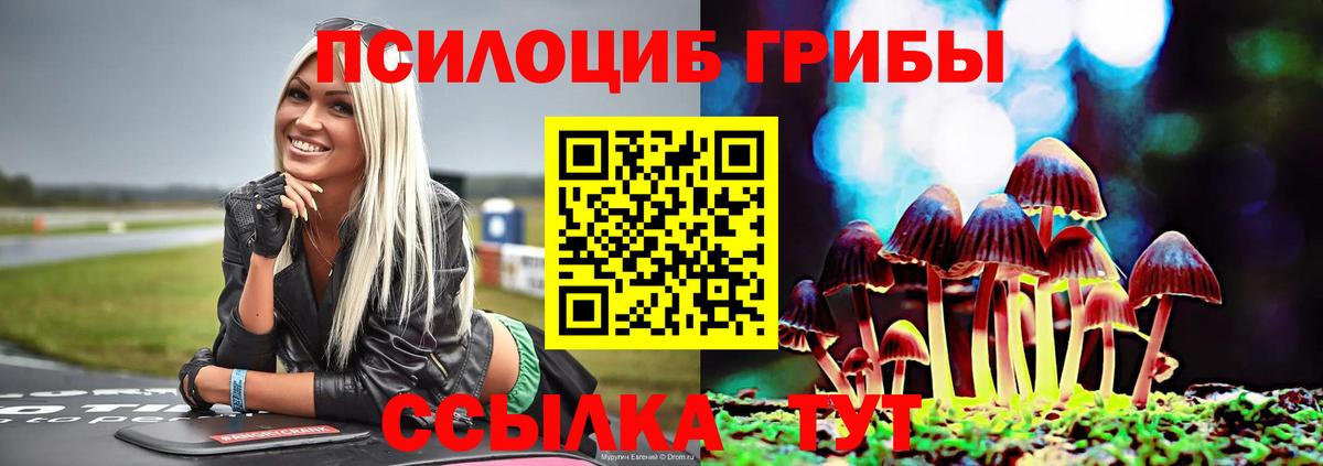 Галлюциногенные грибы прущие грибы Партизанск